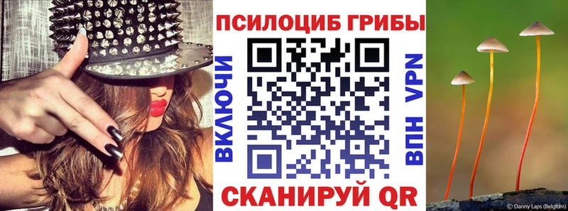 где купить наркоту  Волоколамск  маркетплейс наркотические препараты  Псилоцибиновые грибы Psilocybine cubensis 