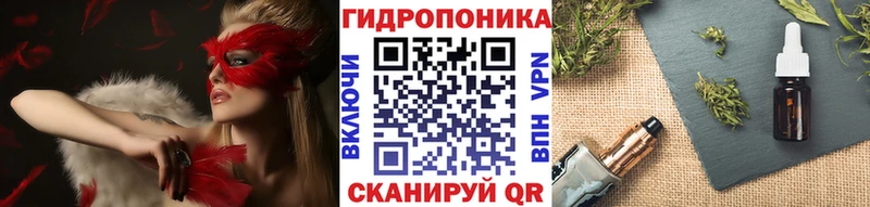 дарк нет официальный сайт  Волоколамск  Бошки марихуана SATIVA & INDICA  цена  